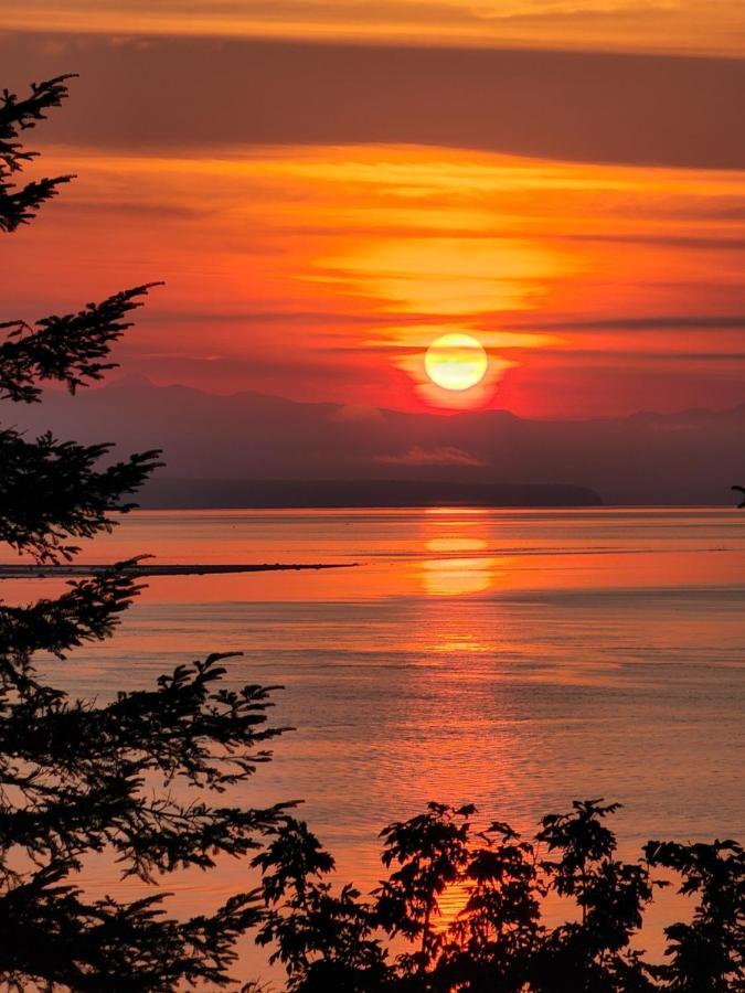 Ocean'S Edge Suite Campbell River Exteriör bild