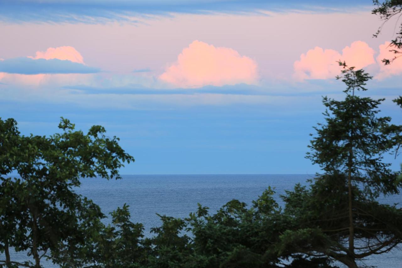 Ocean'S Edge Suite Campbell River Exteriör bild